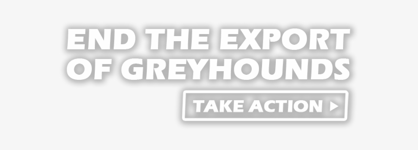 End Greyhound Exports, transparent png