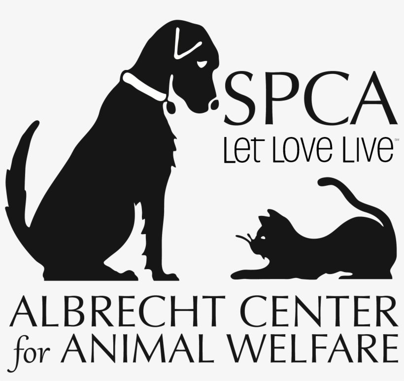 Spca Albrecht Center For Animal Welfare, transparent png