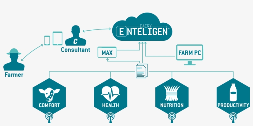 Dairy Enteligen, How It Works, transparent png
