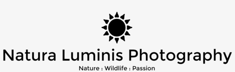 Natura Logo Png, transparent png