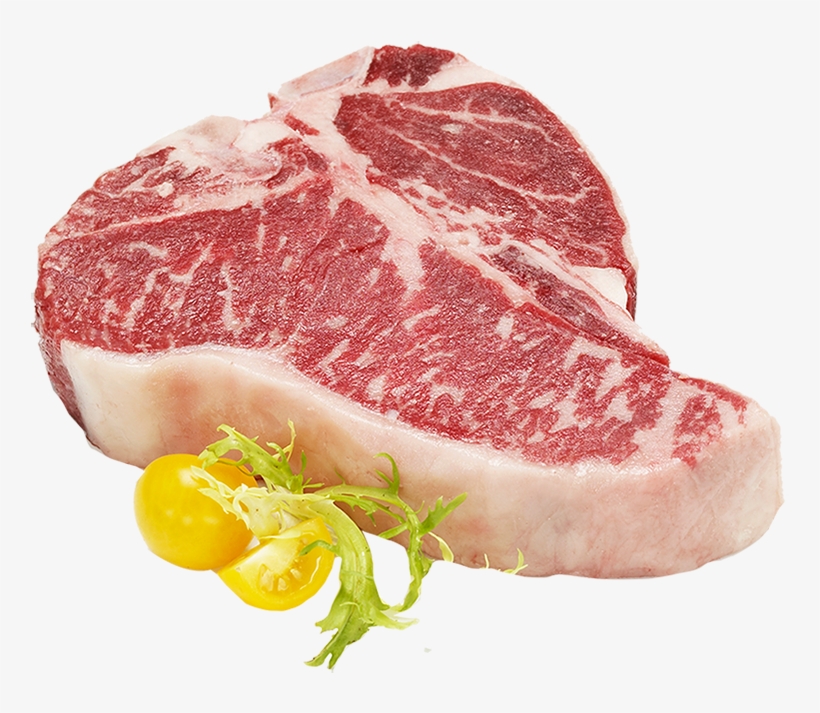 T Bone, transparent png
