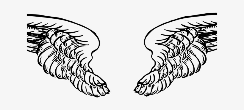 Black And White Wings, transparent png