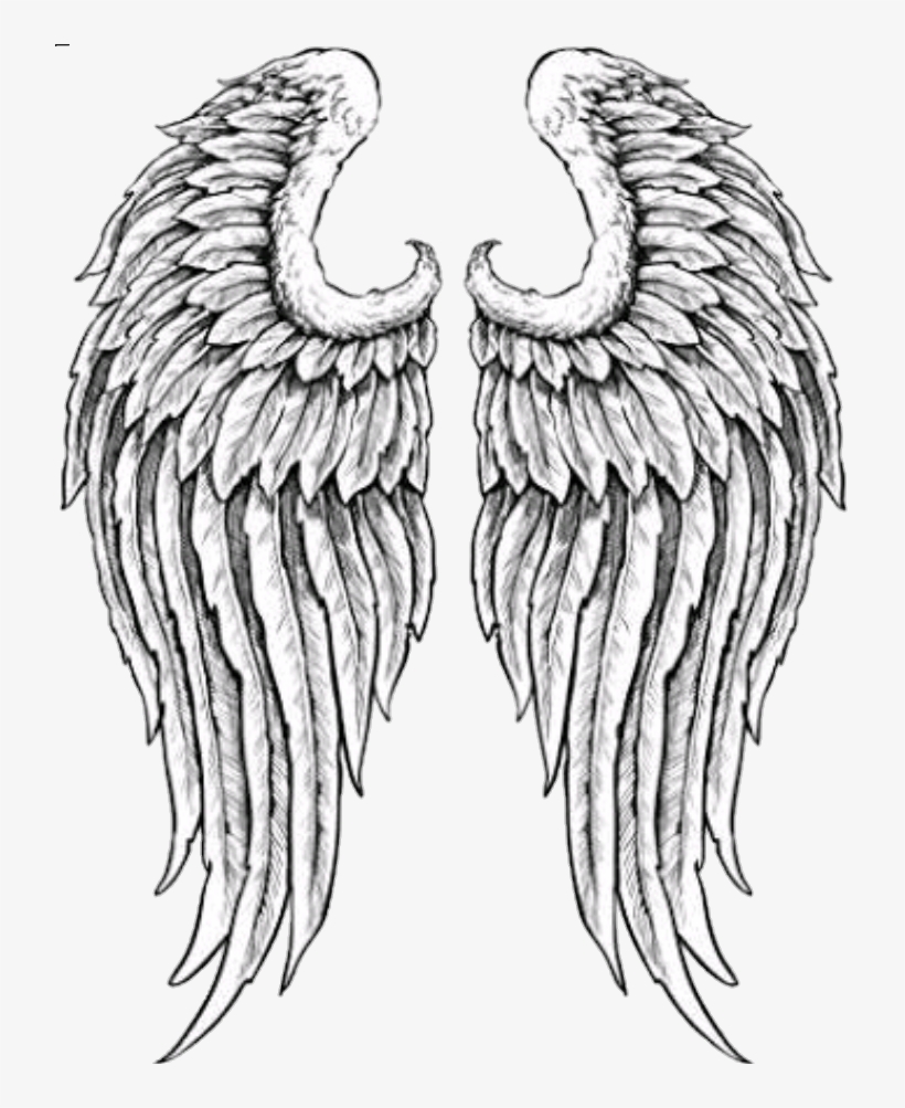 Report Abuse, transparent png