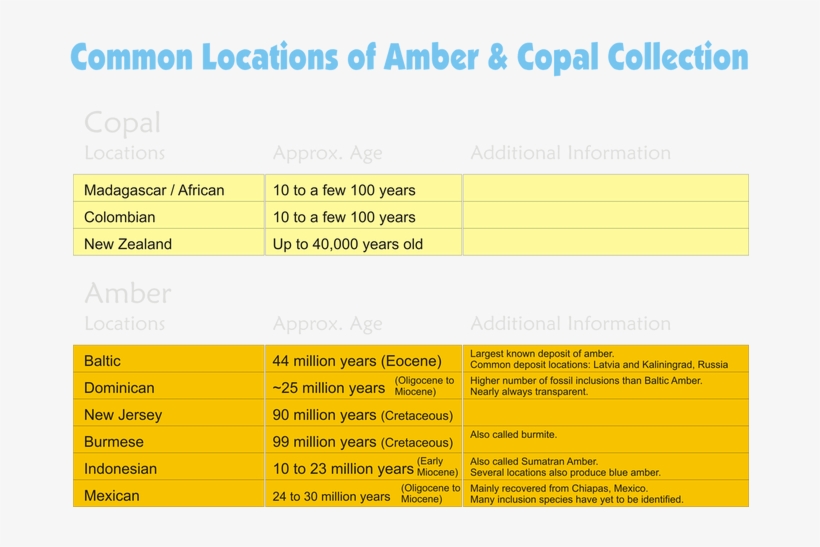 Copal And Amber Are Found In A Number Of Locations, transparent png