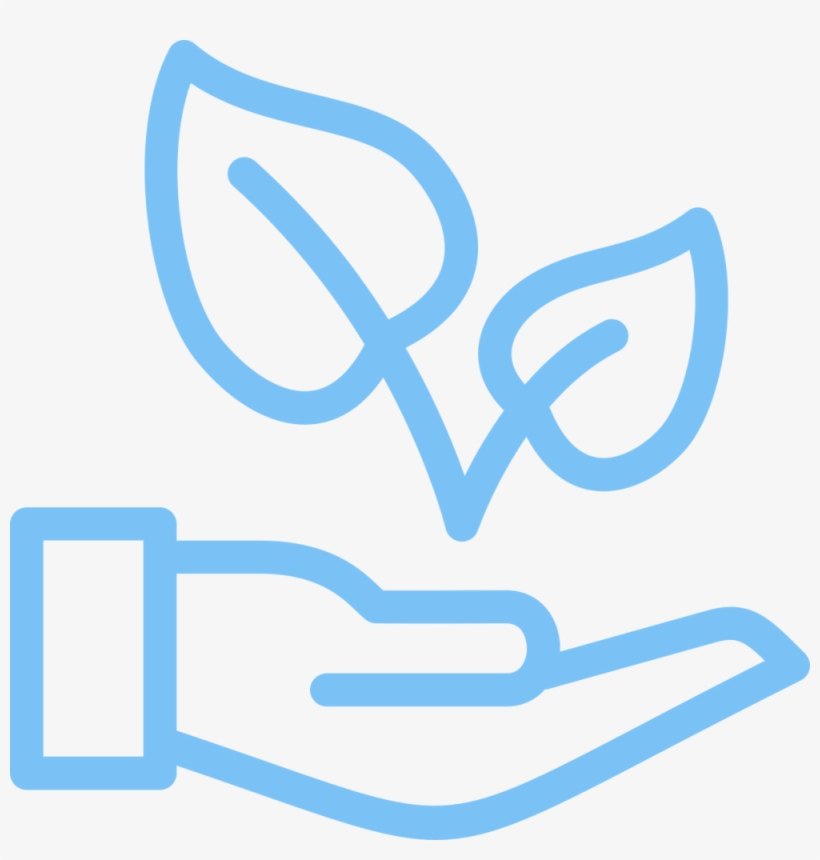 Growth - Natural Environment, transparent png