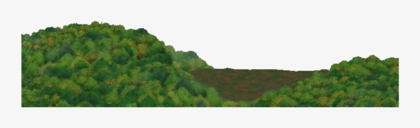 Temperate Forest Background - Forest Background Hd Png, transparent png