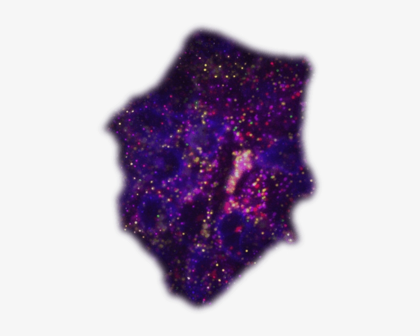 How We Propelled A New Rna Detection Technology - Advertising, transparent png