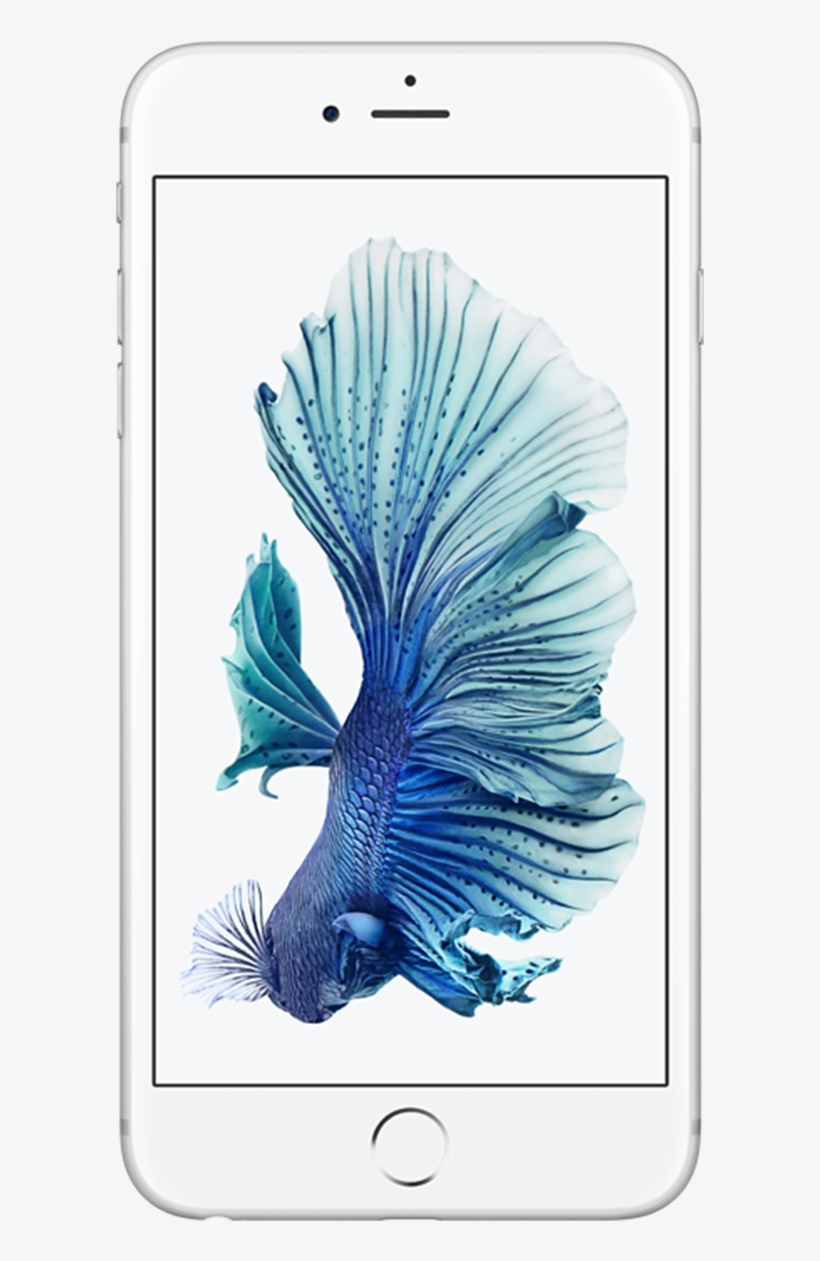 Apple Iphone 6s Plus - Iphone 6 Silver, transparent png