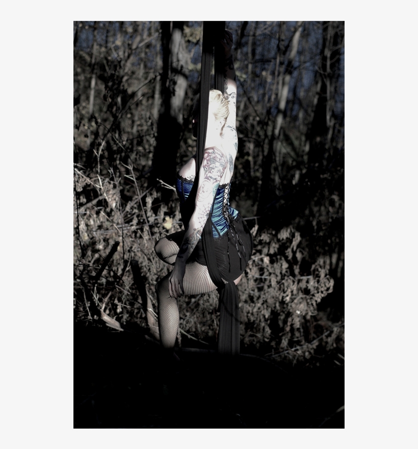 Photograph Of A Girl Seated In Aerial Silks Tissu Against - Silk, transparent png