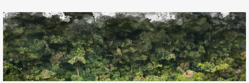 Odzala-kokoua National Park, transparent png