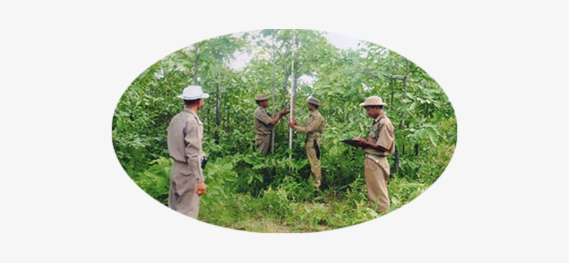 Central Dry Zone Of Myanmar Has Very Harsh Climatic - Infantry, transparent png