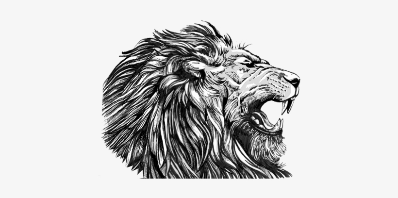 Welcome To Lix Creative - Masai Lion, transparent png