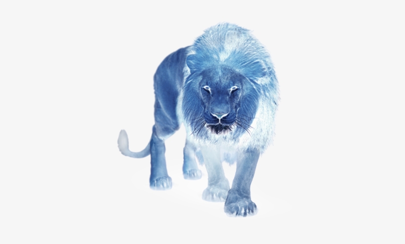 Masai Lion, transparent png