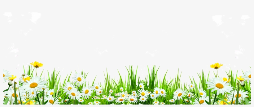 Svg Library Flower Download Icon Cute Flowers Roadside - Grass Daisy Transparent, transparent png