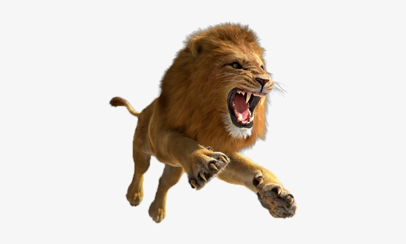 Lion Png, transparent png