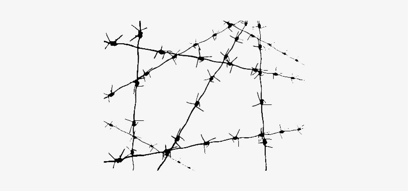 Barbed Wire, transparent png