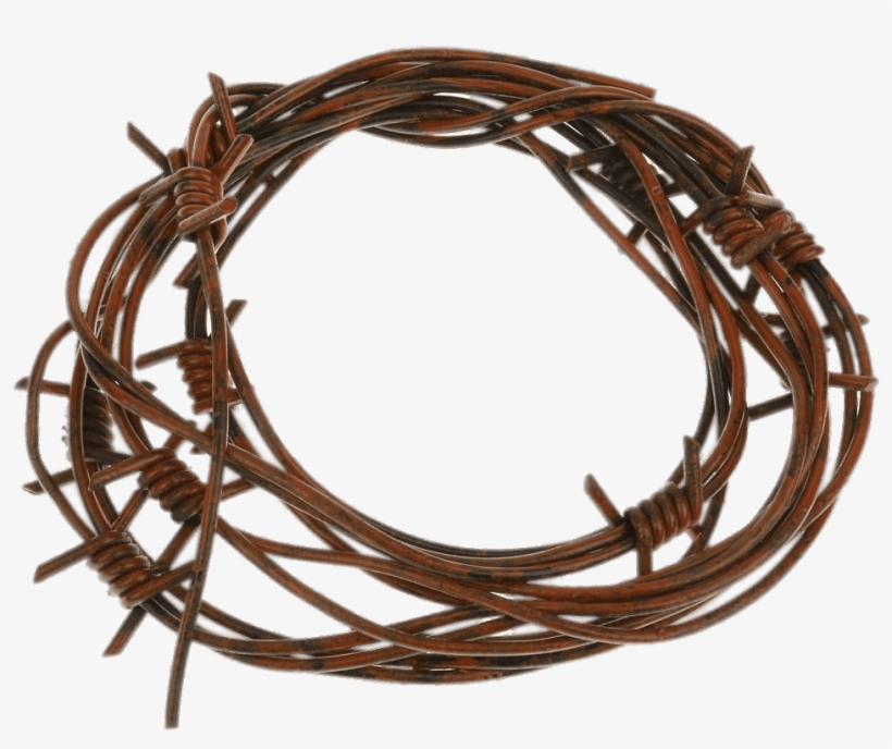 Barbed Wire Fake - Wire, transparent png