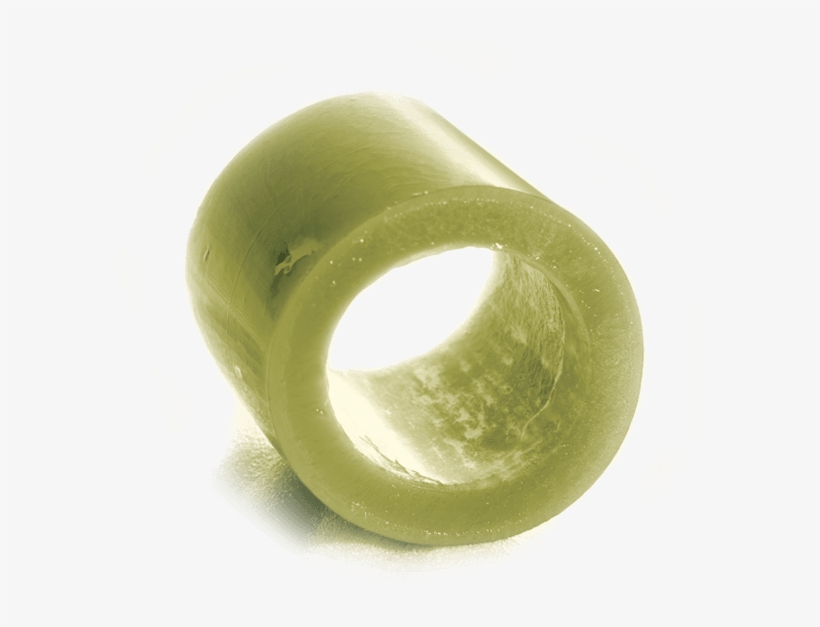 Giant Kelp From The Southern Tip Of Africa - Kelp Ecklonia Maxima, transparent png