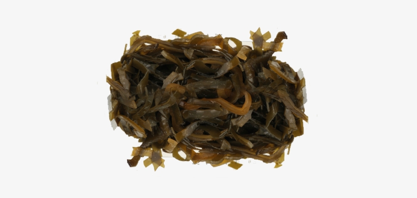 Kelp - « - Da Hong Pao, transparent png