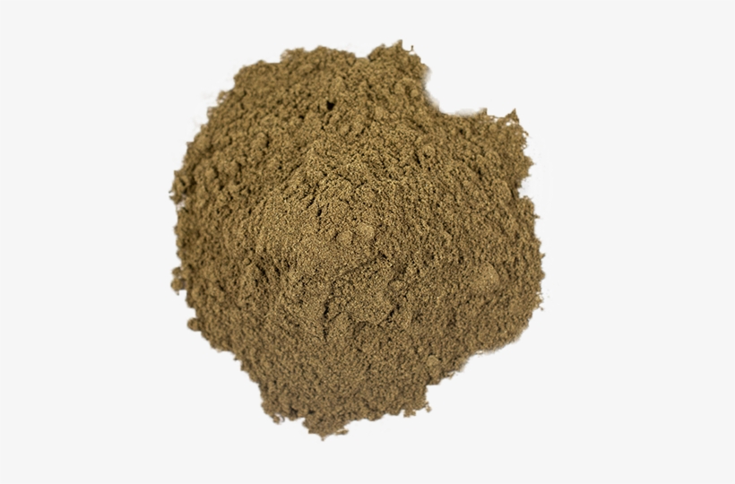 8/5 - Seaweed, transparent png