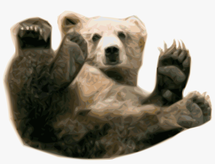 Grizzly Bear Polar Bear Alaska Peninsula Brown Bear - Grizzly Bear Png, transparent png