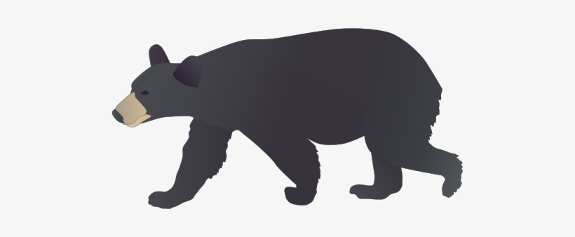 Black Bear Drawing - American Black Bear Drawing, transparent png
