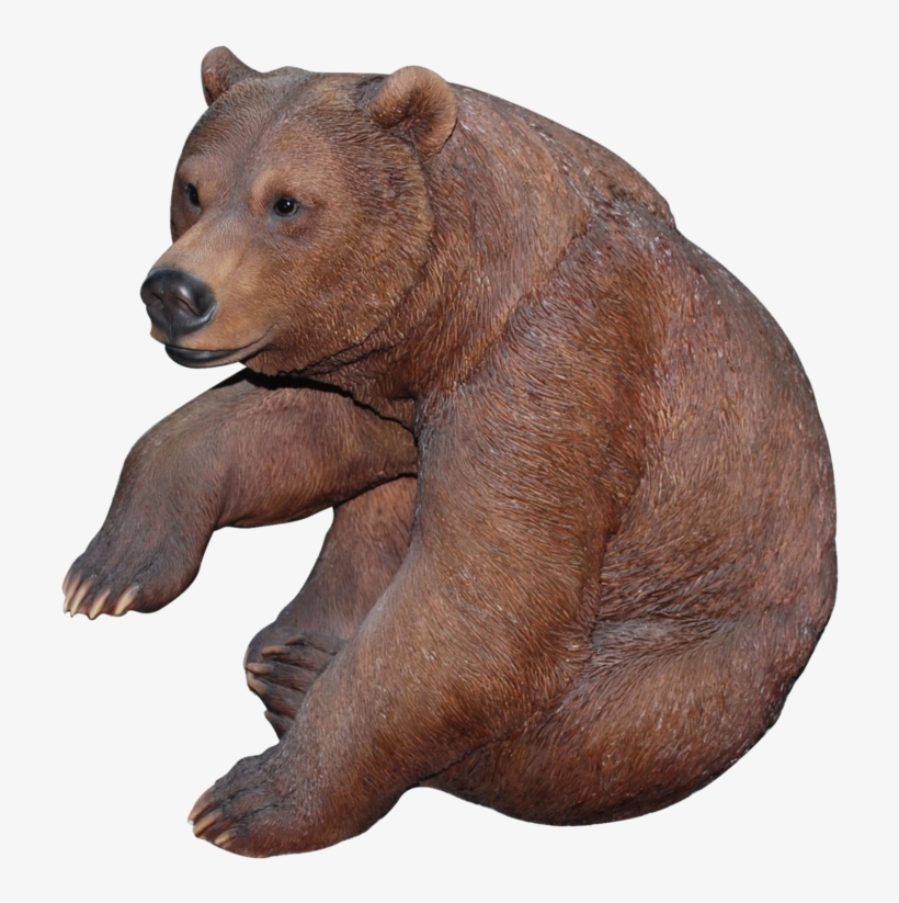Bear Png - Bear, transparent png