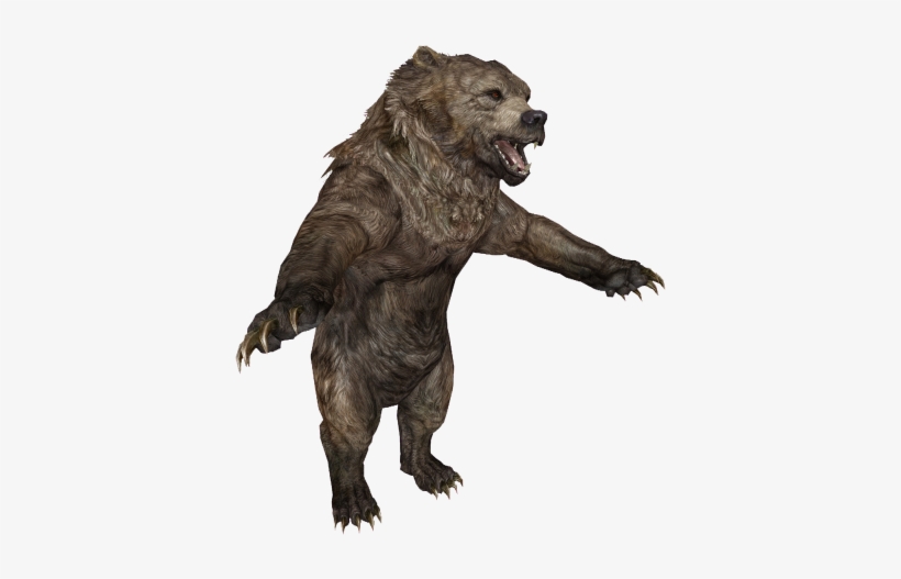 En Creature Bear - Bear, transparent png