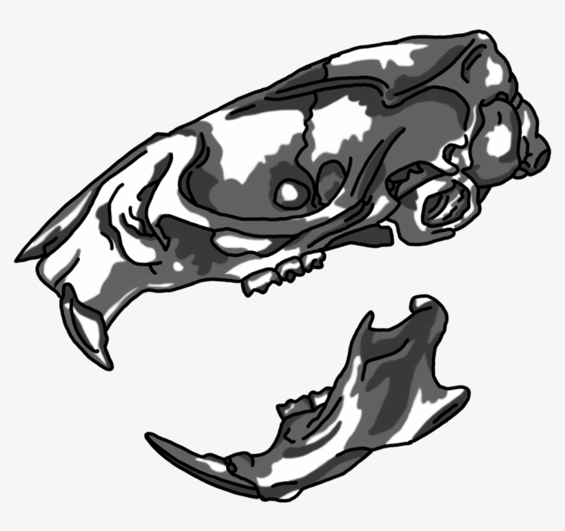 Png Transparent Stock Gathering Item Rat By Hellsdementedangel - Drawing, transparent png