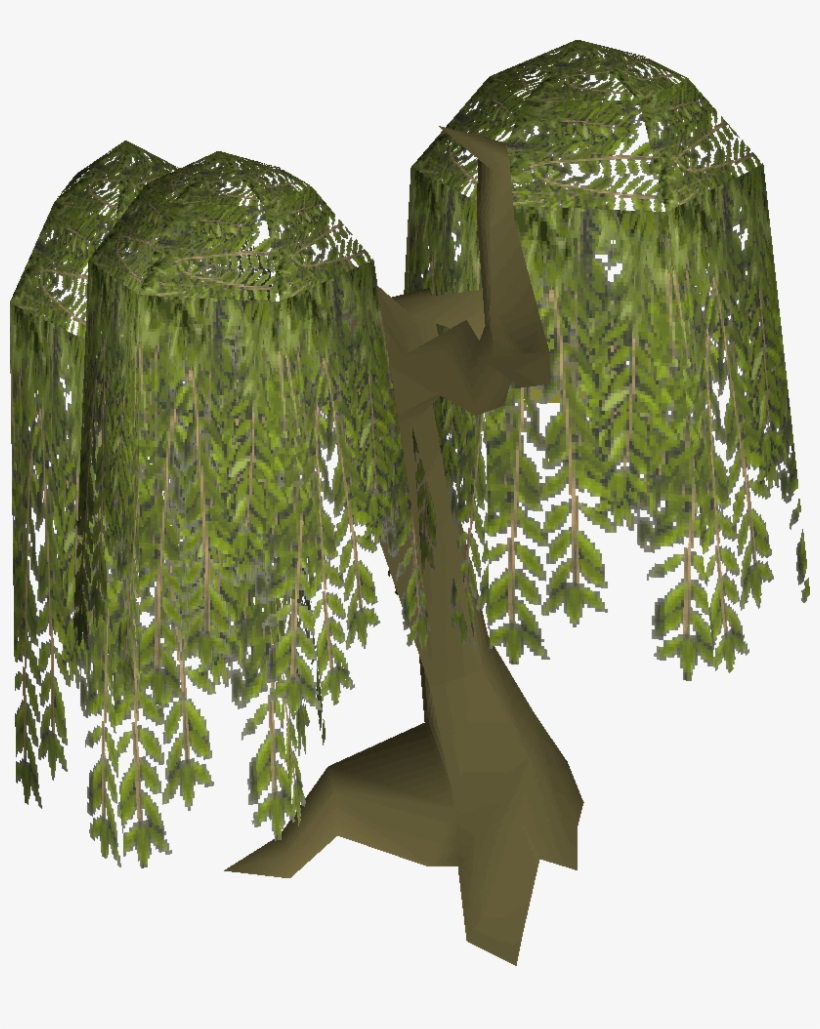 Willow Tree - Willow Tree Runescape, transparent png