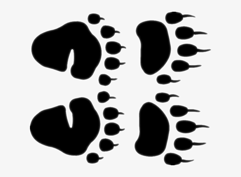 Tracks And Prints - Black Bear Paw Prints, transparent png