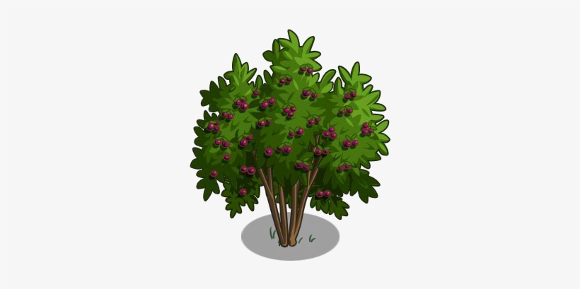 Passion Fruit Tree 100-icon - Passion Flower, transparent png