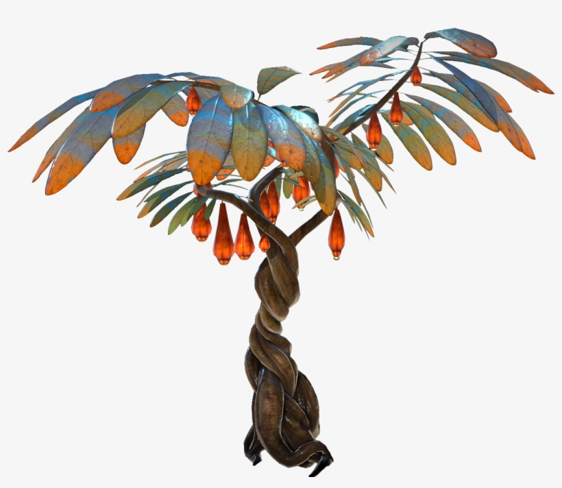 Hanging Fruit Tree Flora - Chilean Lantern Tree, transparent png