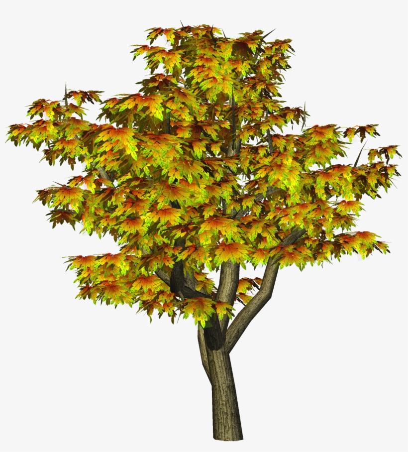 Autumn Tree Png Tree Clipart - Cb Editing All Png, transparent png