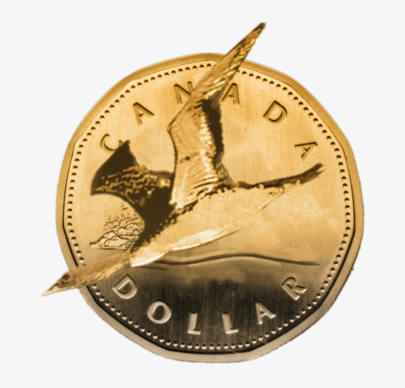 Oil And U, transparent png