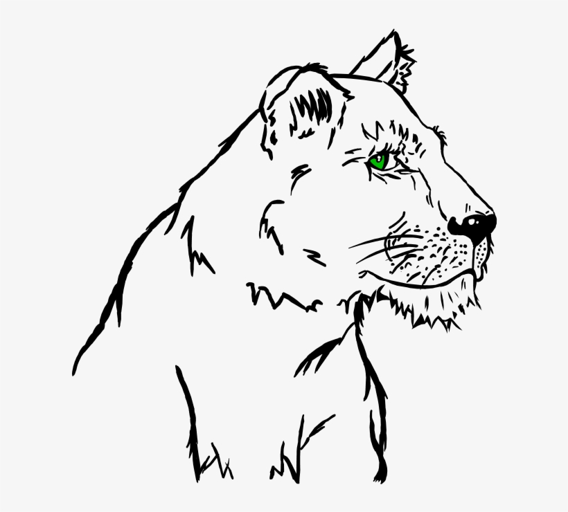 A Lioness, transparent png