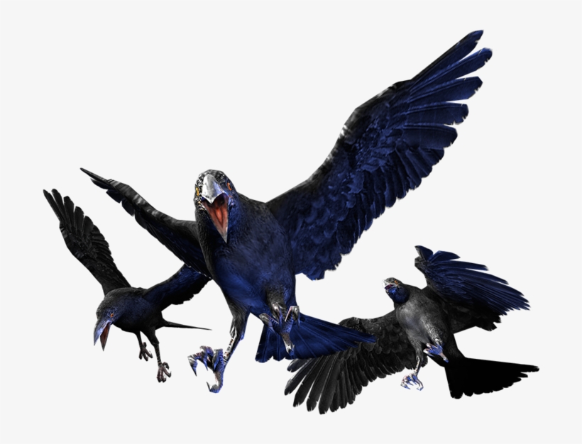 Cr Crow, transparent png