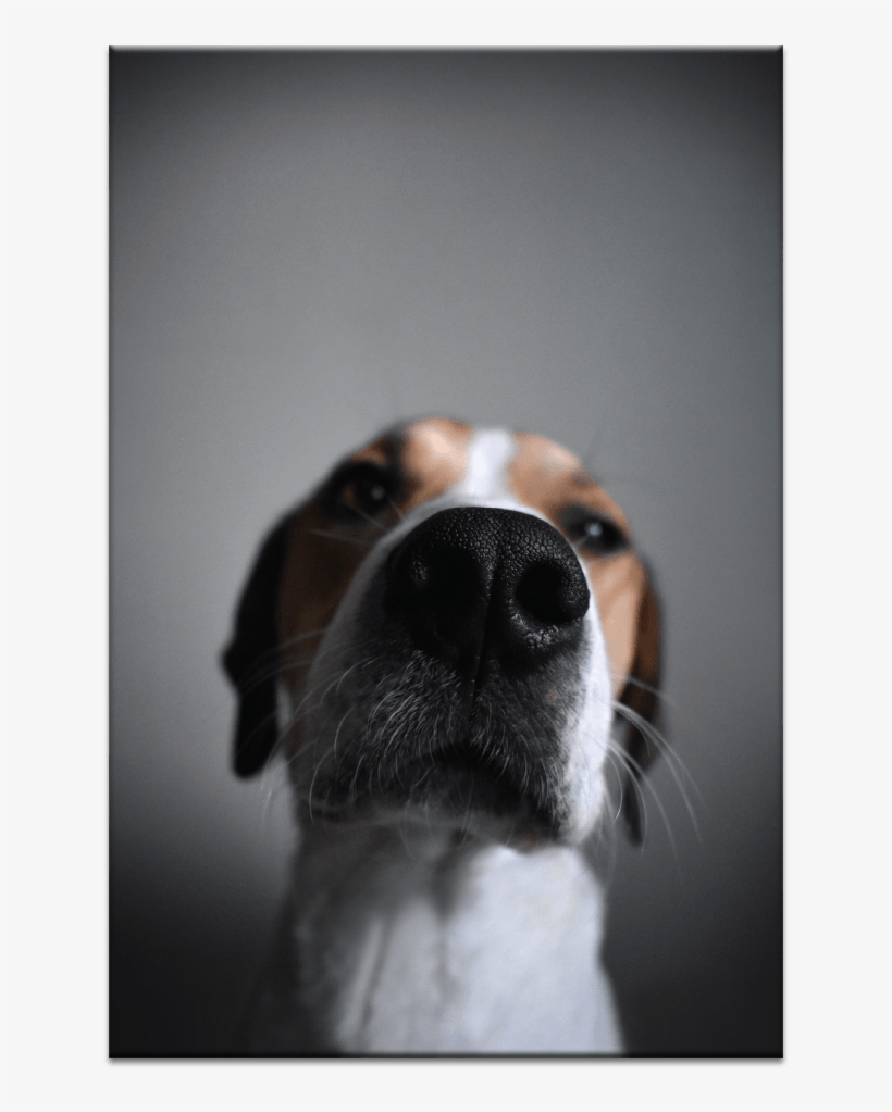 Guilty, transparent png