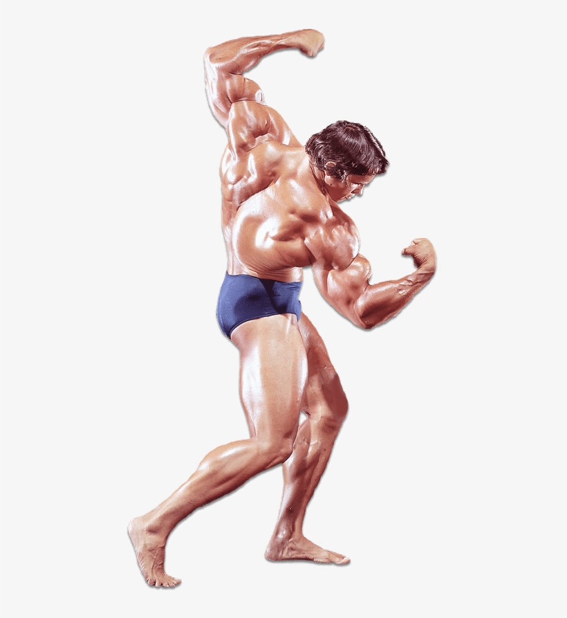 Arnold Schwarzenegger - Historyofbodybuilding - Com, transparent png