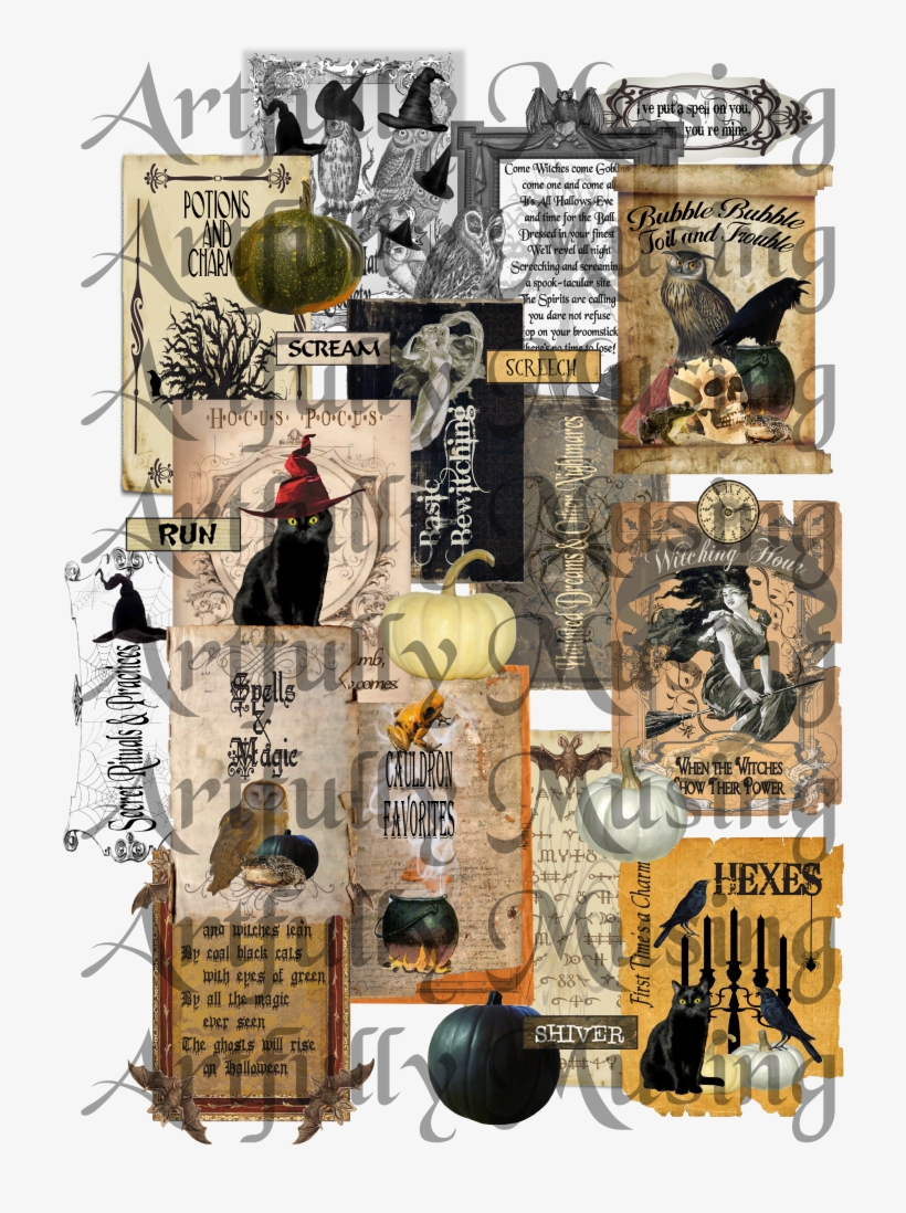Apothecary Book Spines Covers And More Set Contains, transparent png