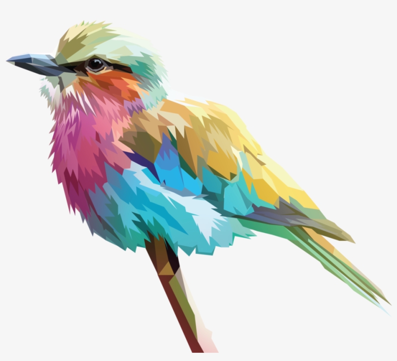Birb, transparent png