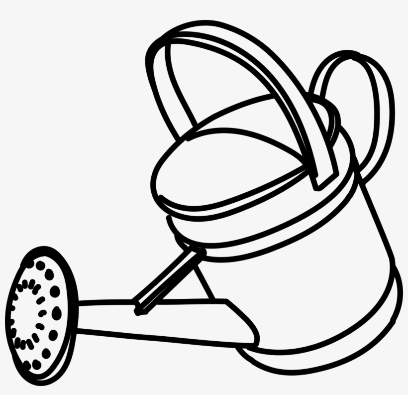 Shower,water,plants,free Vector Graphics,free Pictures,, transparent png