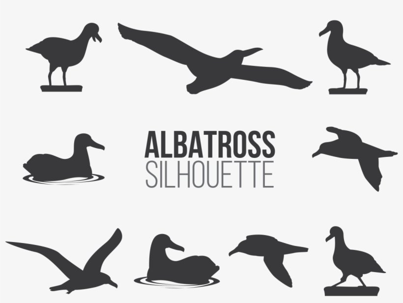 Albatros Sillhaouttes Vector, transparent png