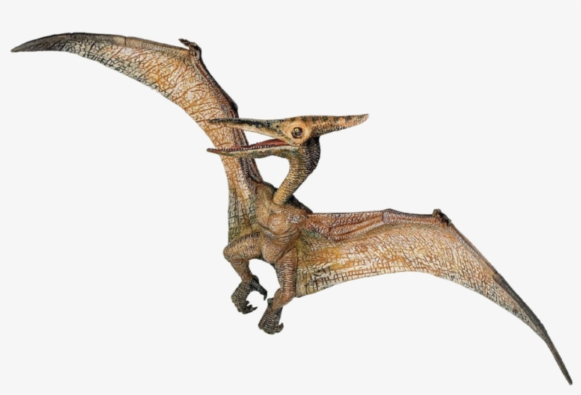Jurassic Park Playfield Pterodactyl, transparent png
