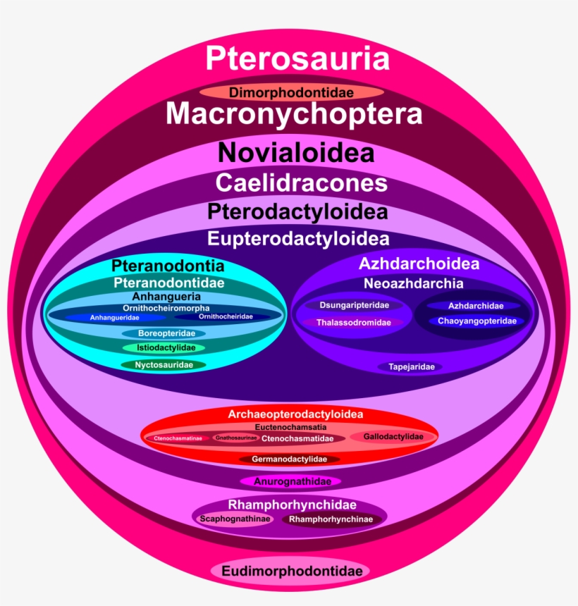 Pterosaurs Paleontology Prehistoric Life Archosaurs, transparent png