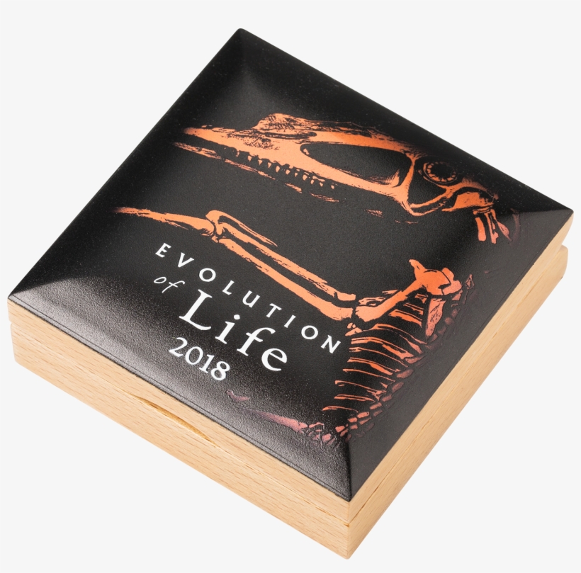 The Elegant Custom Made Box In Which The Coins Are, transparent png