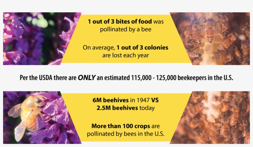 Beecosystem Beekeeper Importance 2, transparent png