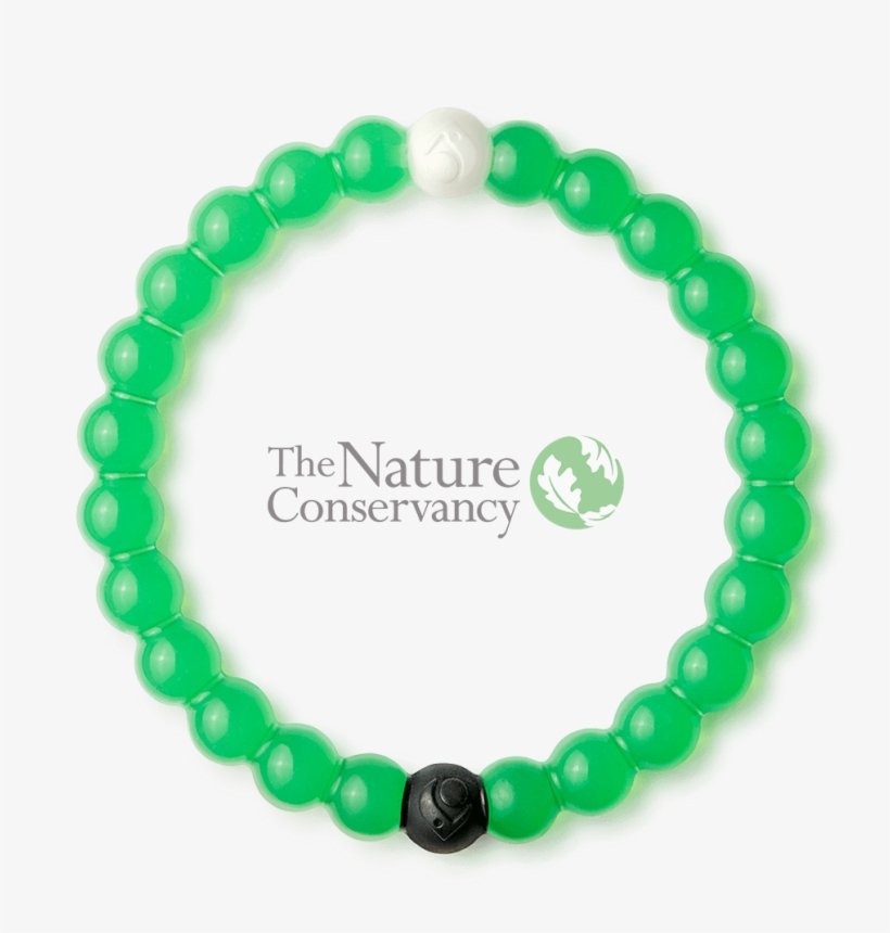 Lokai - Environment Lokai, transparent png