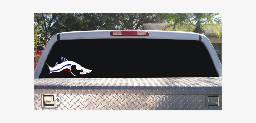 Snook Png, transparent png