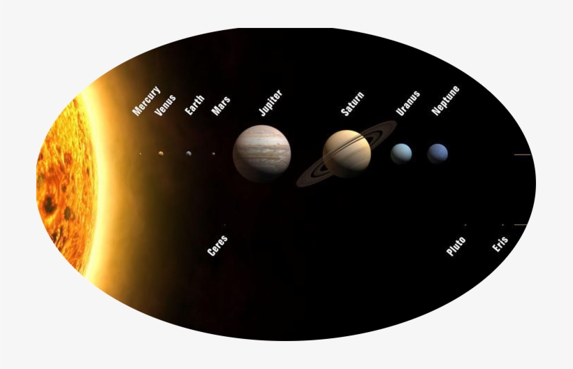 Spiders Are Unique In This Respect And The Solar System, transparent png